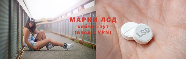 мдпв Богданович