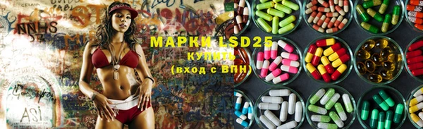 ECSTASY Богородицк