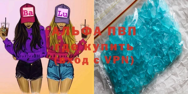 ECSTASY Богородицк